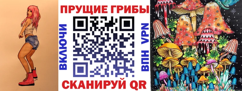 MEGA как войти  Суздаль  Галлюциногенные грибы Magic Shrooms 